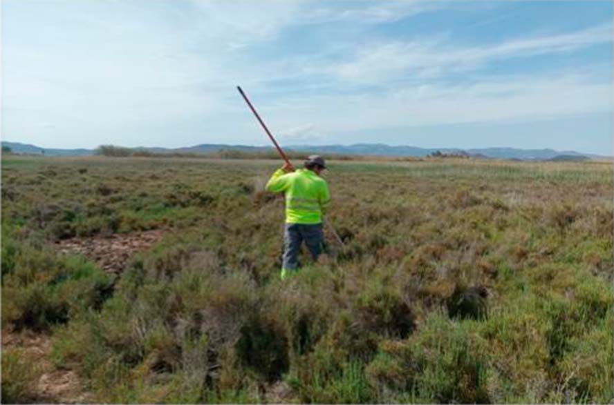 Els resultats del control de mosquits indiquen que la situació està equilibrada