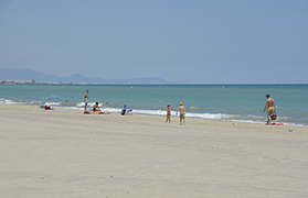 L'Associació de Veïns de Platges Montíber-Almardà realitzarà una cadena humana en les platges de Corinto, Malva-rosa i Almardà