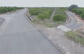 L’Ajuntament de Sagunt contracta 73 persones per a treballs mediambientals 