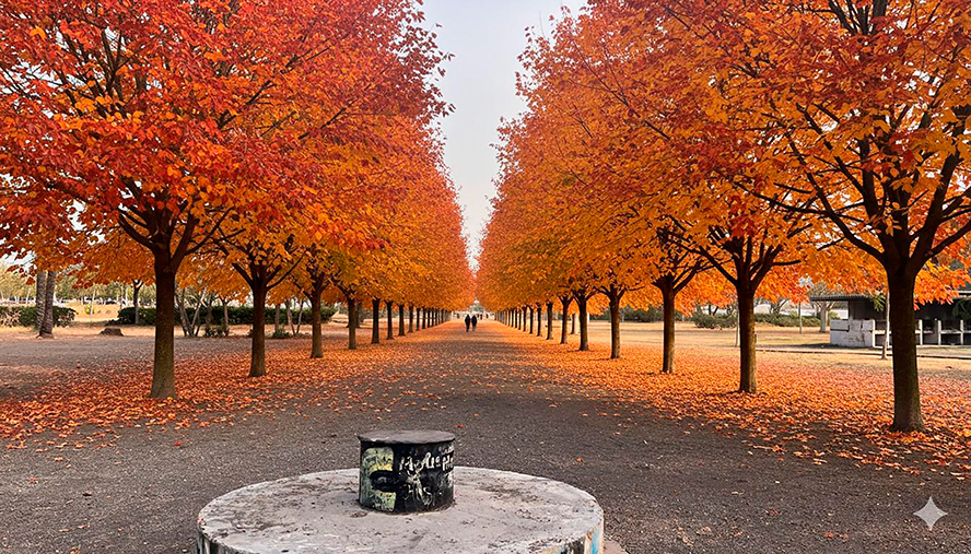 Adjudicat el contracte per a la restauració paisatgística en els voltants de la Gerència del Port de Sagunt