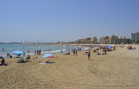 Quico Fernández: “Sagunto no va a consentir que se pierda ni un solo metro de nuestra playa para recuperar otra playa del norte”