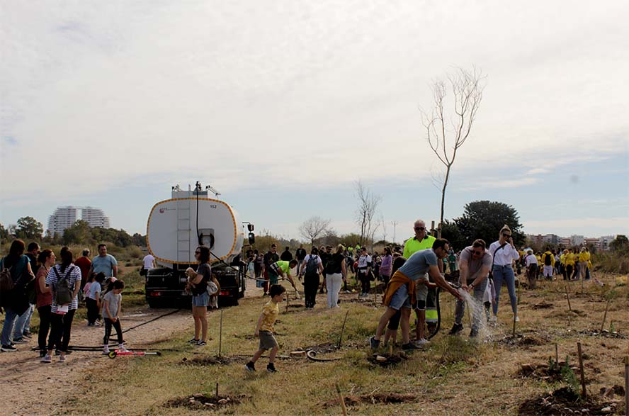 El projecte de reforestació Menuda Ribera planta 1.200 pins i arbustos al Palància