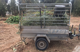 La Policia de Barris identifica a Almardà a dos persones per llançar restes de poda en abocadors incontrolats