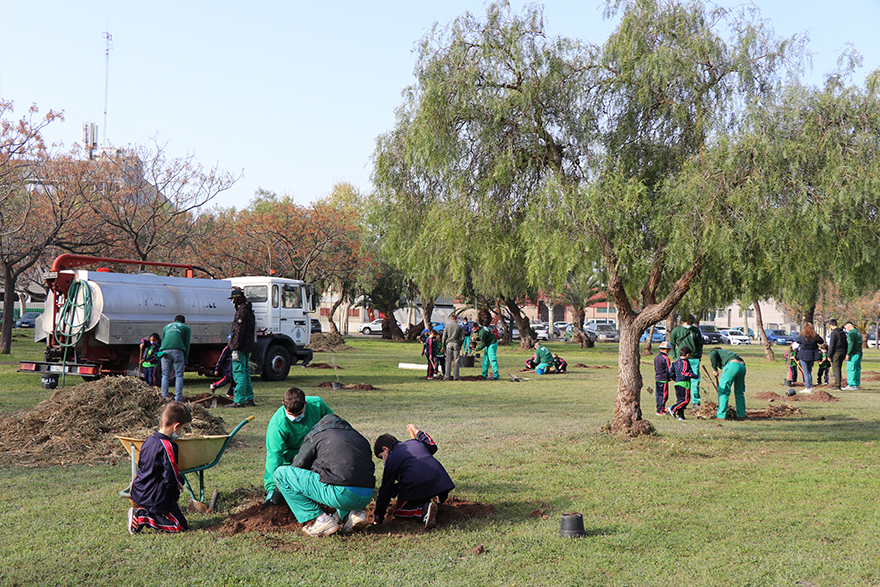 El Colegio San Pedro y el Ciclo Formativo de Conservación del Medio Natural  han trabajado conjuntamente en la plantación de árboles en la ciudad