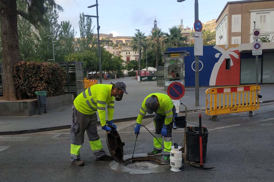El departament de Sanitat continua esta setmana amb la campanya de desratització i desinsectació