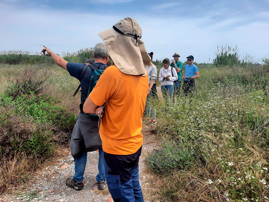 La Colla Verda identifica més de 200 espècies de fauna i flora al riu Palància