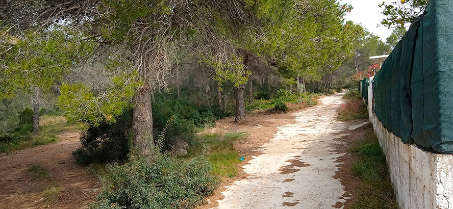 Sagunt crearà una àrea tallafocs en la zona de la urbanització Codoval per a previndre incendis