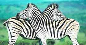 Taller de contes africans, a la Biblioteca Cronista Chabret de Sagunt