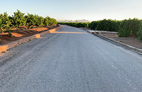 El Consell Agrari repara i pavimenta diversos camins rurals del terme de Sagunt