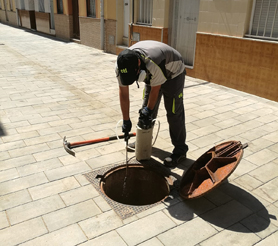 Els tractaments contra plagues que duu a terme la delegació de Sanitat continuen la setmana vinent