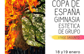 Sagunt acull la I Fase de la Copa d'Espanya de Gimnàstica Estètica de Grup 2020