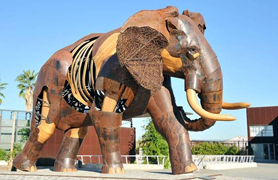 La Casa Municipal de Cultura acull l'exposició ‘Els animals pel món’ d’Arsenautas