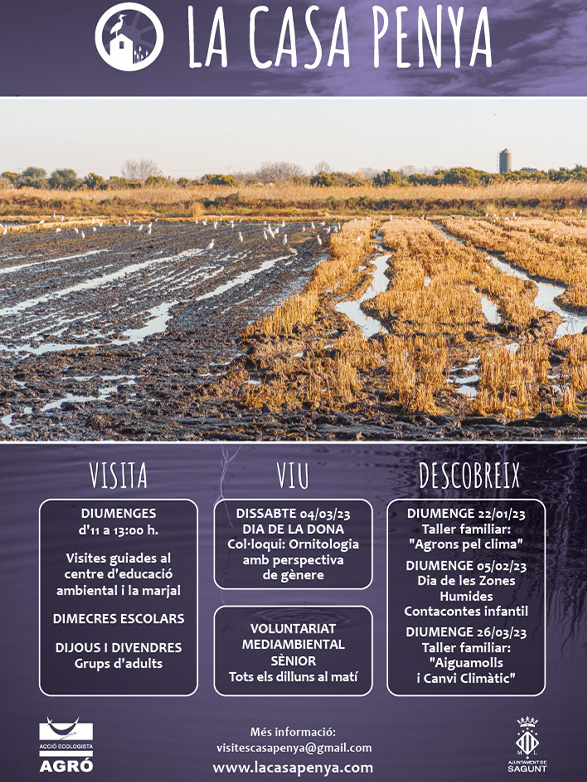 Hivern de natura i marjal a La Casa Penya