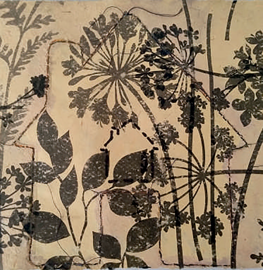 Exposició 'Liminaridad en una era Antropocena', de l'UPV