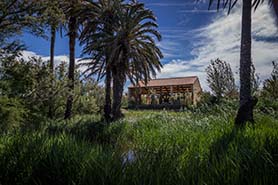 La Casa Penya presenta un nou programa d’activitats i visites guiades per a tardor 