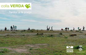 La Colla Verda convoca la ciutadania a la tercera plantació de flora dunar