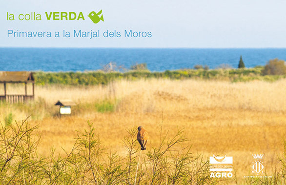 La Colla Verda torna a la Marjal dels Moros amb tres noves iniciatives