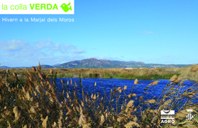 La Colla Verda hivernarà a la Marjal dels Moros