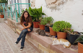 L’Ajuntament i Colonias Felinas estan realitzant una campanya d’esterilització de gates urbanes 