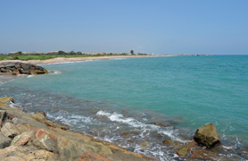 Recomanacions en cas de presència de meduses a les platges