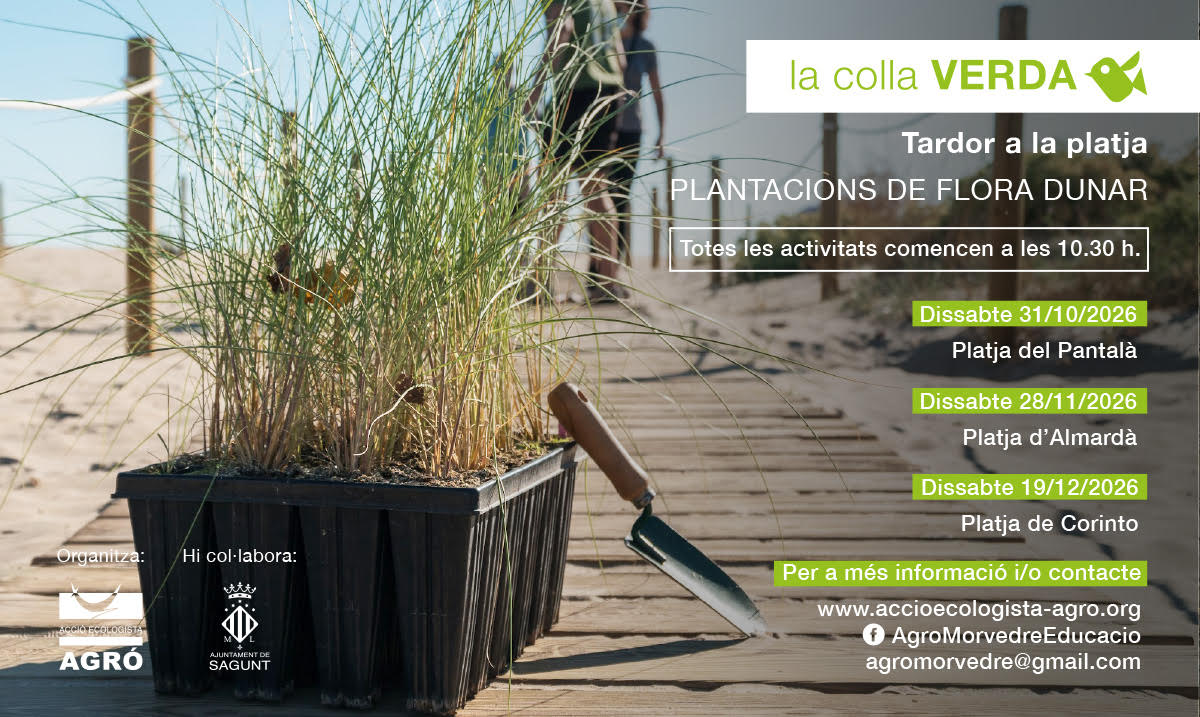 Plantació de flora dunar - Acció Ecologista-Agró