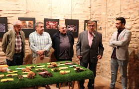 La mostra fotogràfica i diferents espècies de bolets ja estan exposades a la Casa de Cultura Capellà Pallarés fins demà