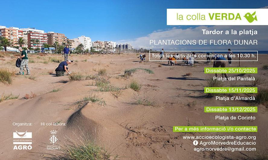 Plantación de flora dunar en la playa de Corinto