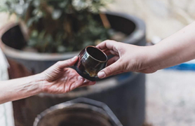 La Casa Penya organitza activitats per a gaudir de la marjal