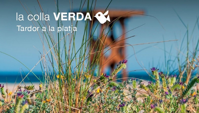 La Colla Verda convida a fer una plantació dunar a la platja d'Almardà