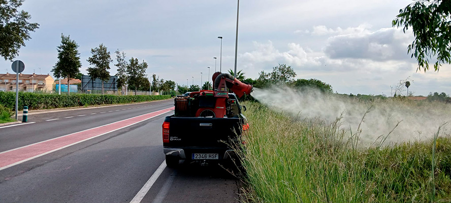 Sagunt reforça els tractaments contra els mosquits davant les pluges d'octubre