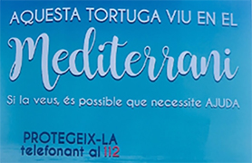 L’Ajuntament de Sagunt participa en la campanya ‘Tortugues en el Mediterrani’ de la Fundació Oceanogràfic