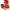 ROSES ART FLORAL