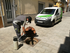 A partir del dilluns continua el tractament contra panderoles, mosquits i rates en Port de Sagunt