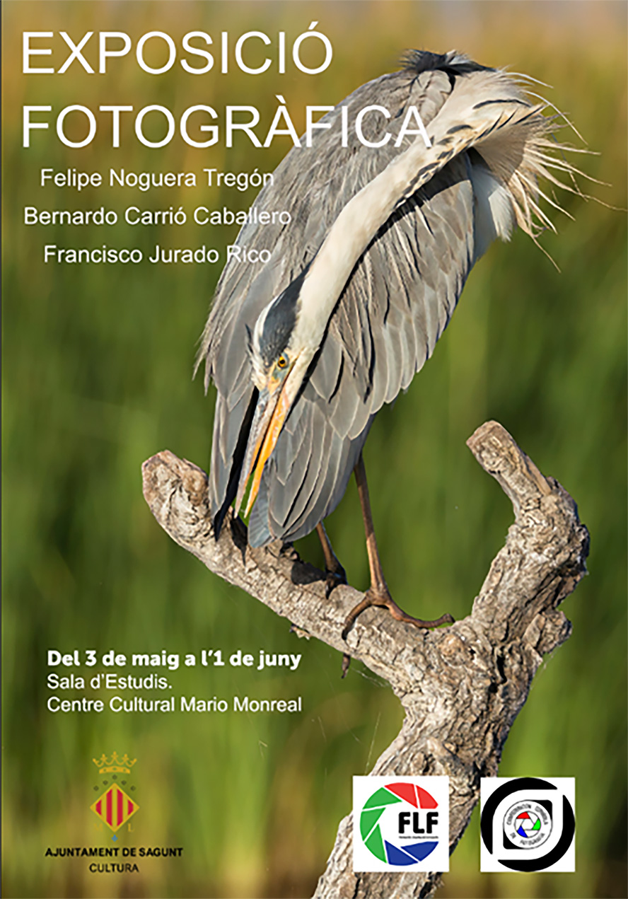 Llega la exposición fotográfica 'Natura' a Sagunto