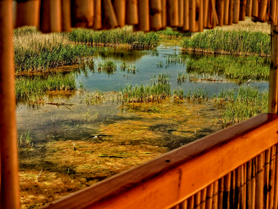 La programació de ‘Capvespres a la Casa Penya’ continua amb el Taller de fotografia de paisatge